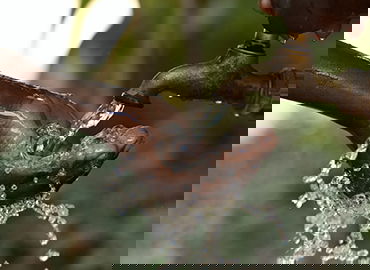 足球赛事直播AI高光集锦生成